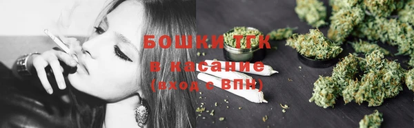 соль ск Краснослободск