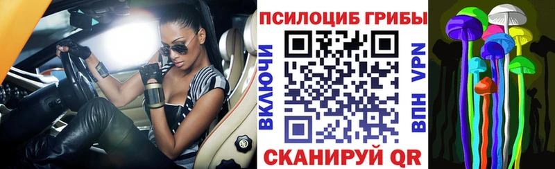 Псилоцибиновые грибы Magic Shrooms  Темников 