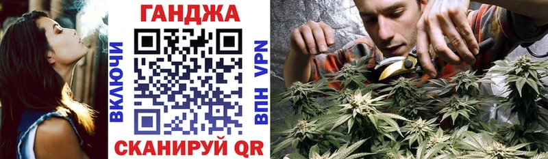 закладка  Темников  Канабис план 